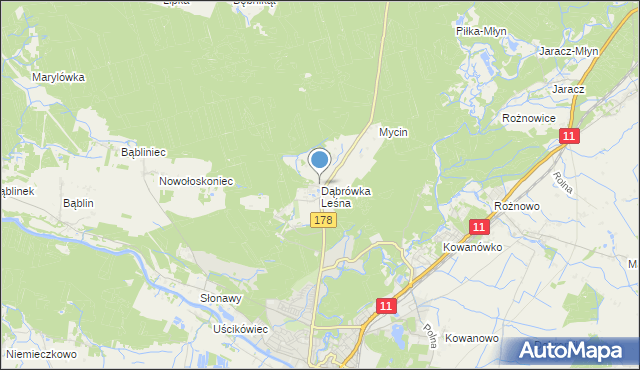 mapa Dąbrówka Leśna, Dąbrówka Leśna na mapie Targeo